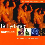 The Rough Guide to Bellydance