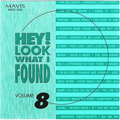 Hey! Look What I Found, Vol. 8
