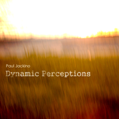 Dynamic Perceptions