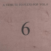a tribute to flexi-pop vol.6