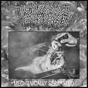 MECHANICALLY SEPARATED demo