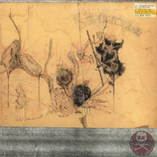 So That You Can Start To See What S-T-A-T-I-C-L-A-N-D