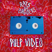 Pulp Video