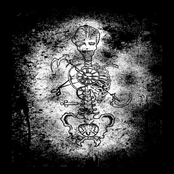 Rodentia: The Best of Dark Roots Music