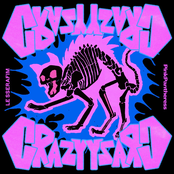 CRAZY - Single