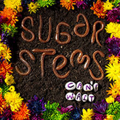 Magic Act by The Sugar Stems