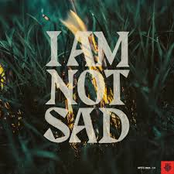 Them Coulee Boys: I Am Not Sad