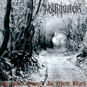 Strova I Skogen In North Black