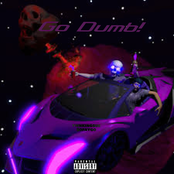 Go Dumb!