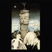 Im Schatten Der Mohre