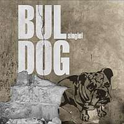 Buldog Singiel