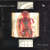 Volatile Composition