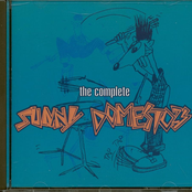 The Complete Sunny Domestozs