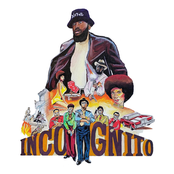 Incognito