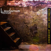 Digging The Basement