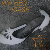 NO FENCES, ONLY FREEDOM