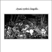 Dynamic Synthetic Changeable