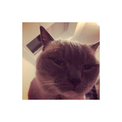 because you love to be with me as i make music i make this song to help you sleep