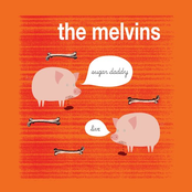 Star Spangled Banner by Melvins