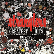 the very best of the stranglers