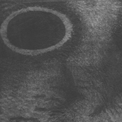 Moon Over Torrelorca