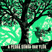A Pedra Sonha Dar Flor
