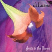 Ghost In The Flowers