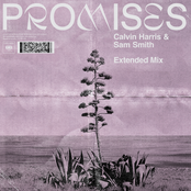 Promises (Extended Mix) - Single