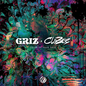 Griz: Color Of Your Soul