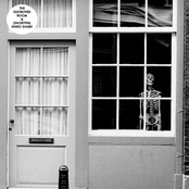 The Destroyed Room & (Shortfin) Mako Shark Split