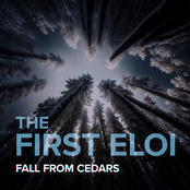 Fall From Cedars