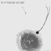 De fe'kun.dus ad salus