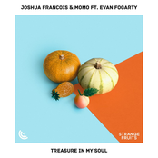 Treasure in My Soul (feat. Evan Fogarty)