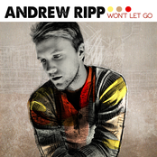 Just Enough by Andrew Ripp