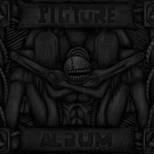Pigture Album