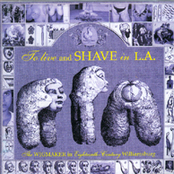 Honeycomb Tripe by To Live And Shave In L.a.