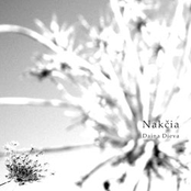Nakcia