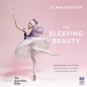 Tchaikovsky: The Sleeping Beauty