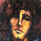 Wayfaring Stranger by Tim Buckley