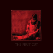 The First Cut