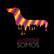 Confundido by Los Auténticos Decadentes