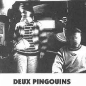 deux pingouins