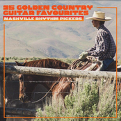 25 Golden Country Guitar Favourites