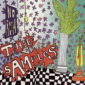 The Samples: No Room