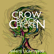 Crow Black Chicken
