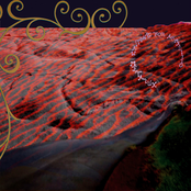 Waiting for Armadillo