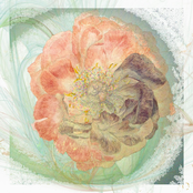 cowardly ep