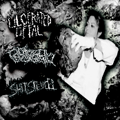 Ulcerated Offal / Endotoxaemia / Shitstench