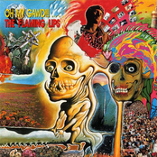 Can't Exist by The Flaming Lips