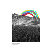 Potential Landscapes